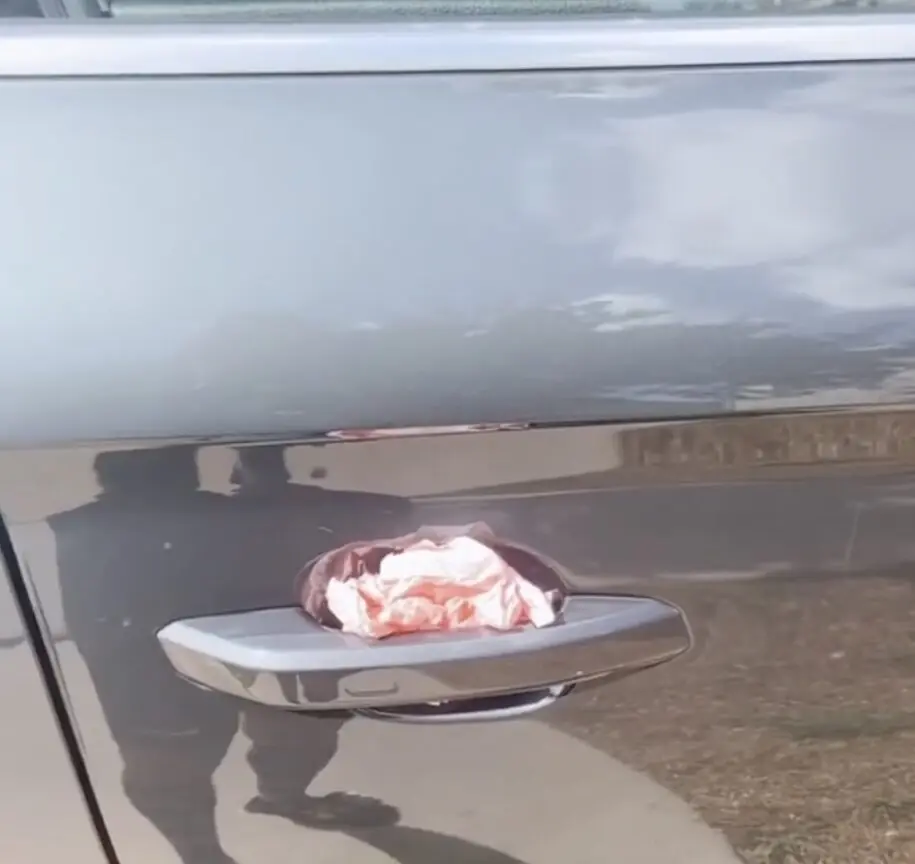 wp-image-1263166140 size-full