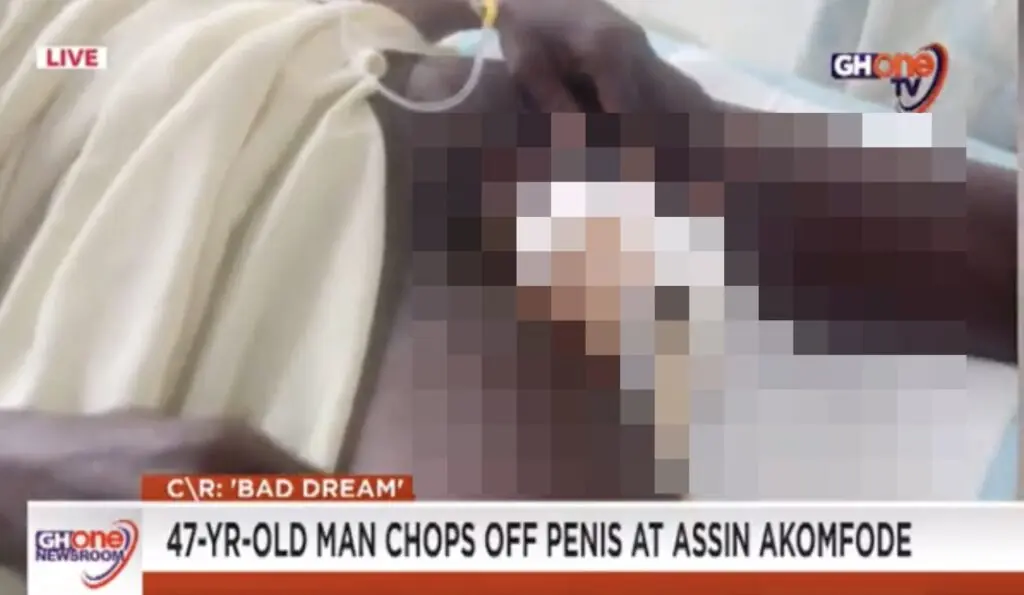 size-large wp-image-1263166309