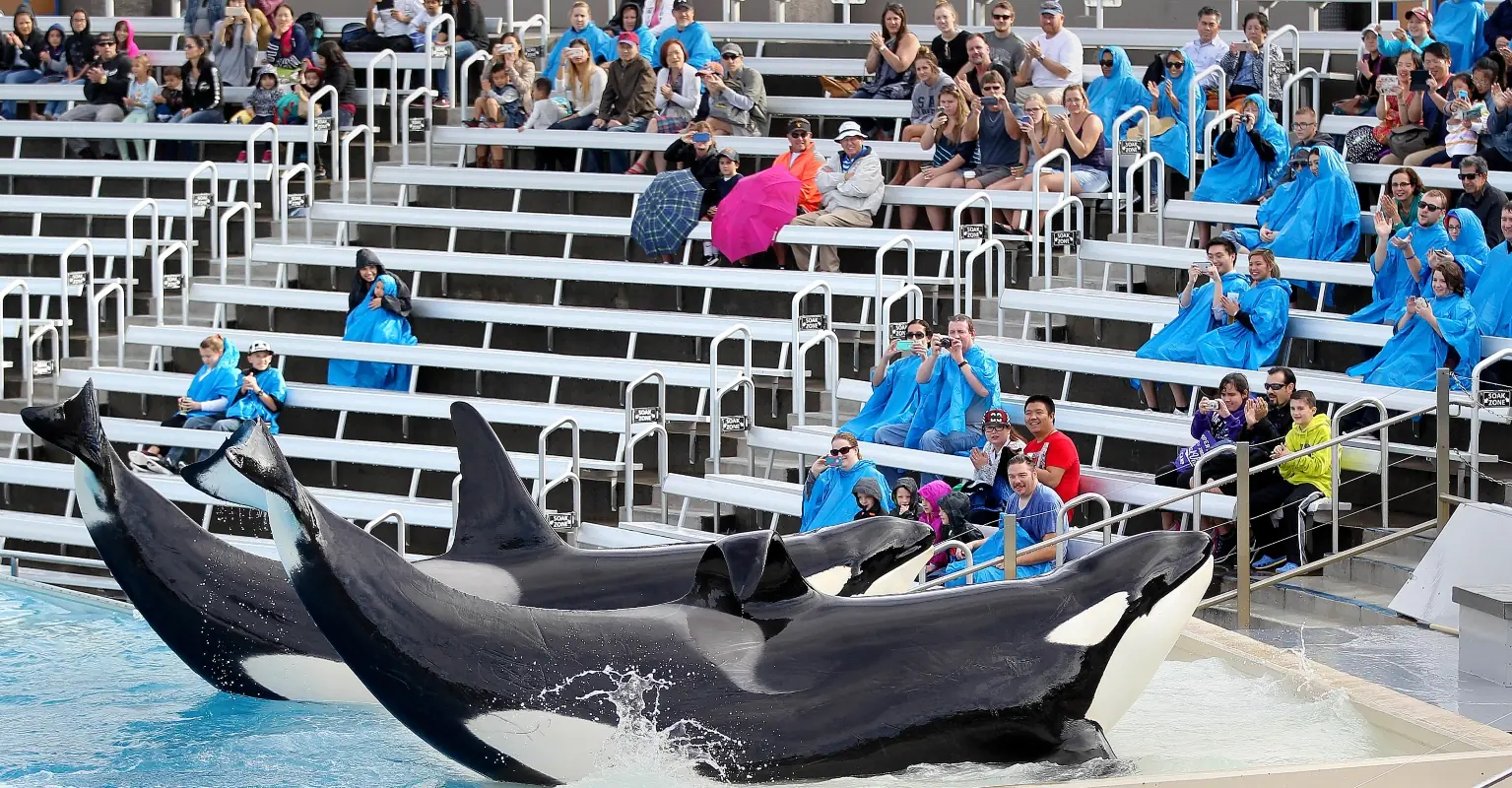 wp-image-1263164664 size-full