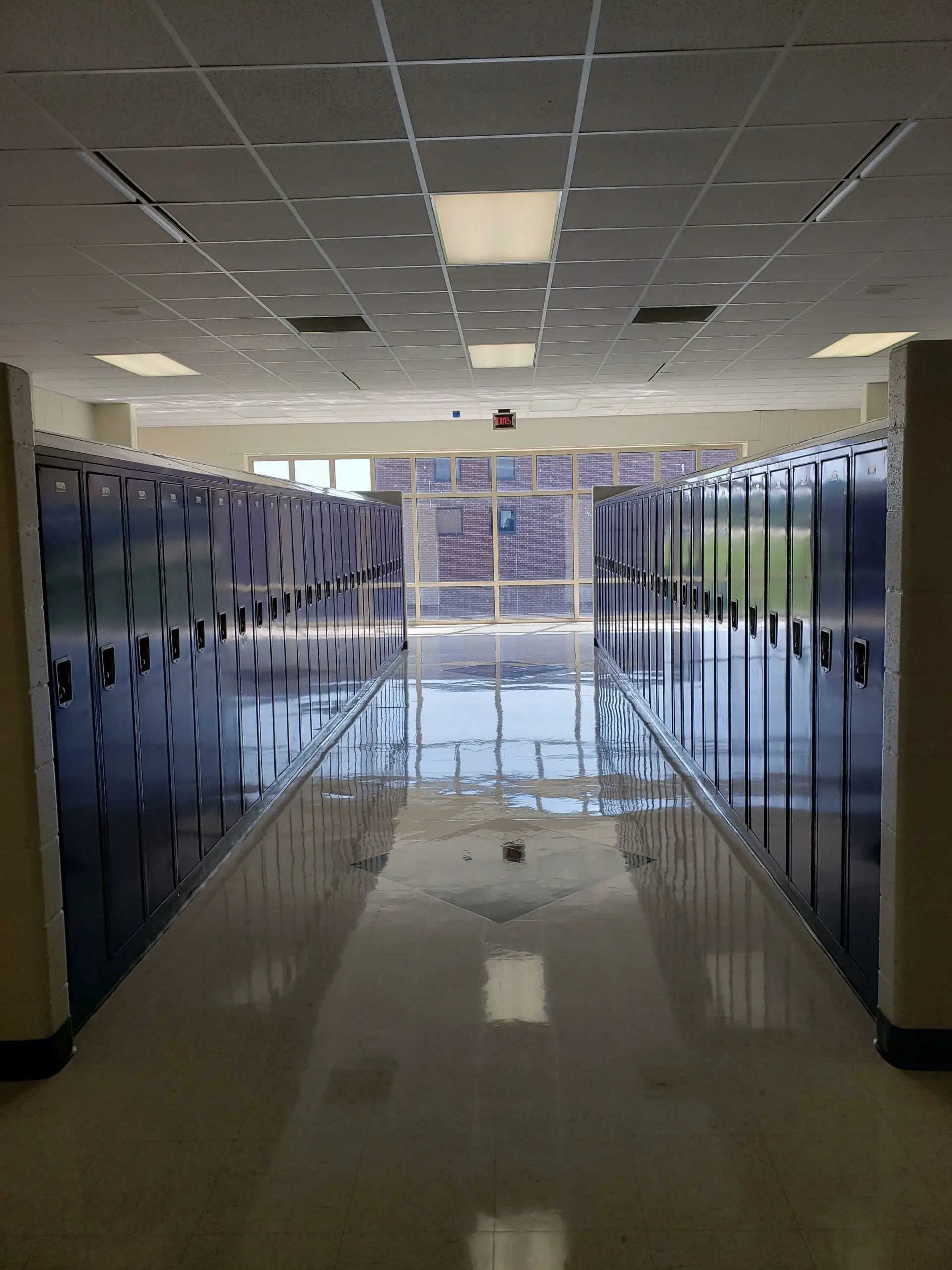 wp-image-1263167228 size-full