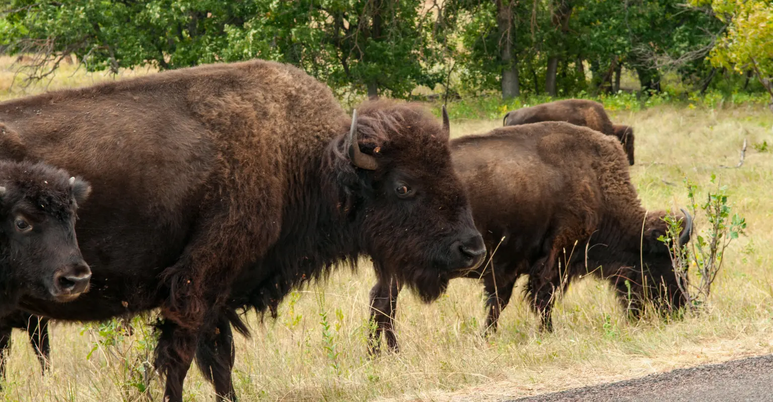 wp-image-1263163964 size-full