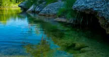 wp-image-1263166421 size-full
