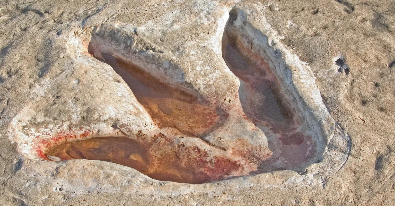 wp-image-1263166422 size-full