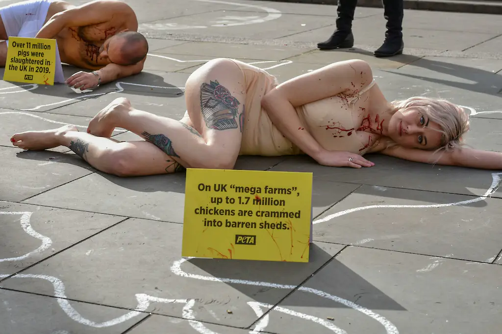 wp-image-1263170011 size-full