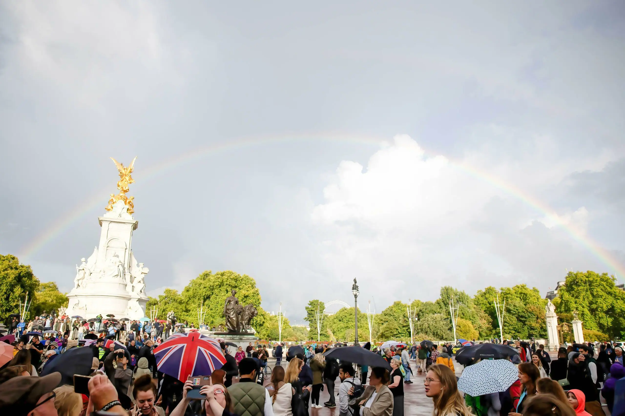 size-full wp-image-1263168586