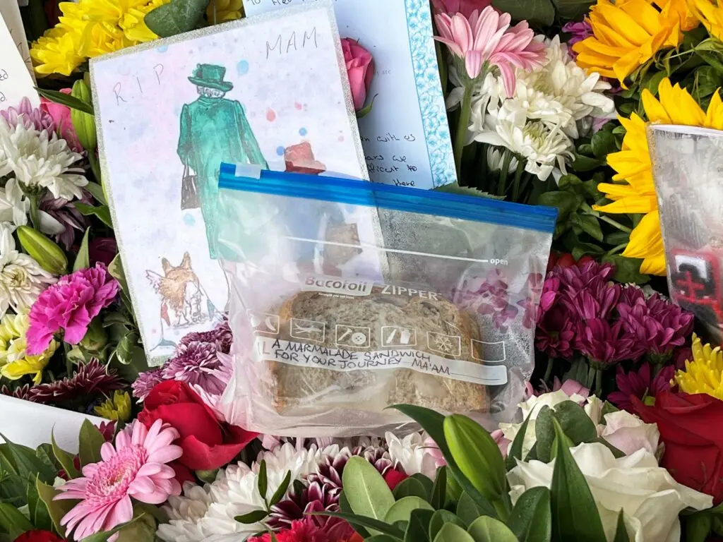 size-large wp-image-1263168905