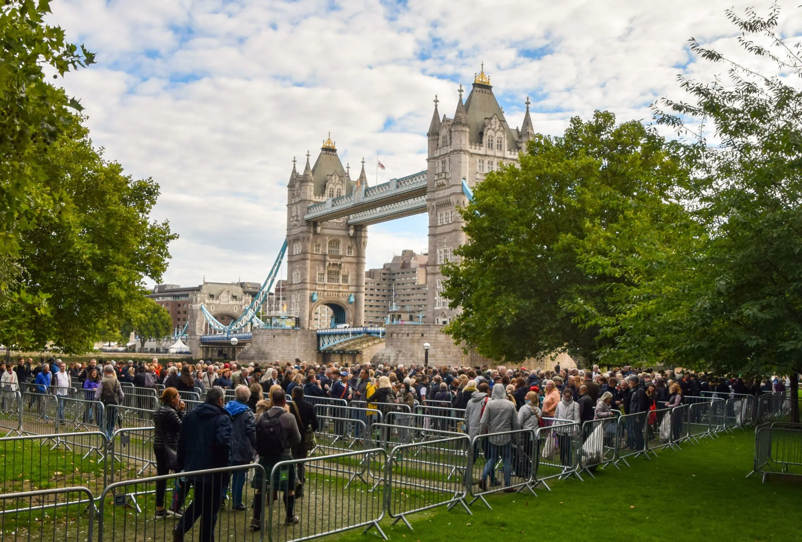 wp-image-1263169442 size-full