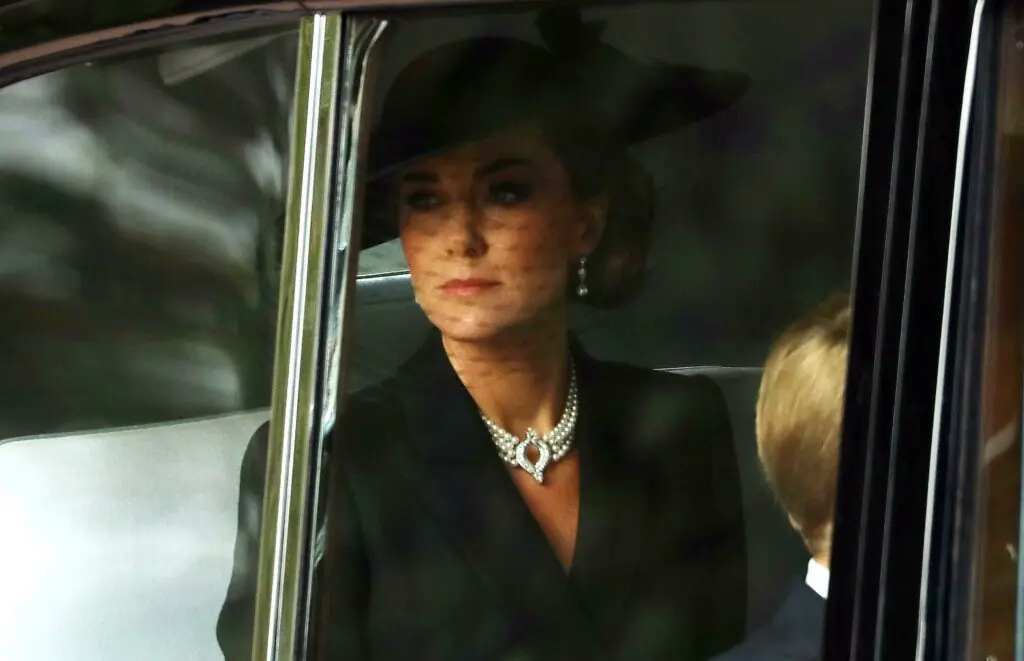 size-large wp-image-1263169749