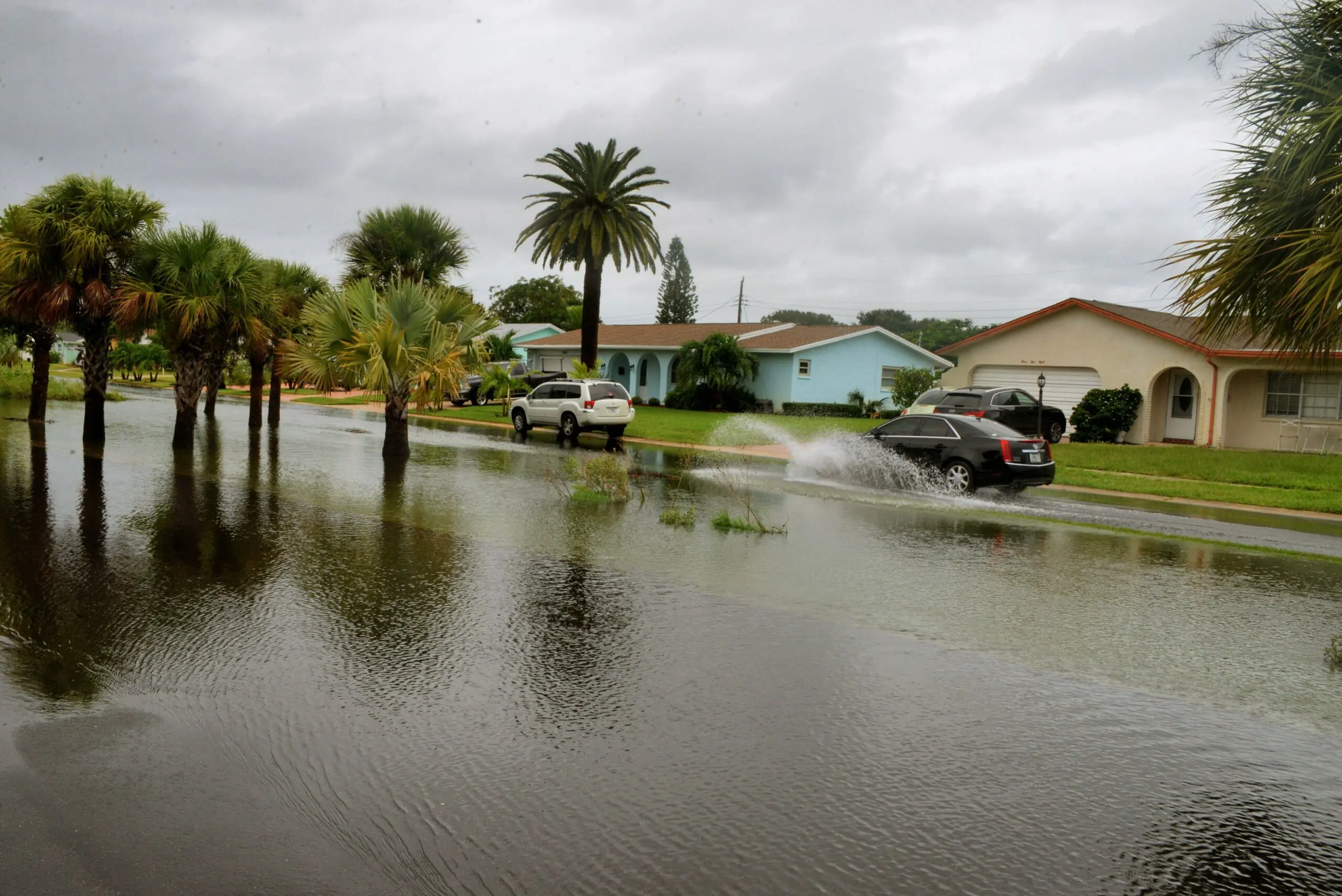 wp-image-1263171078 size-full