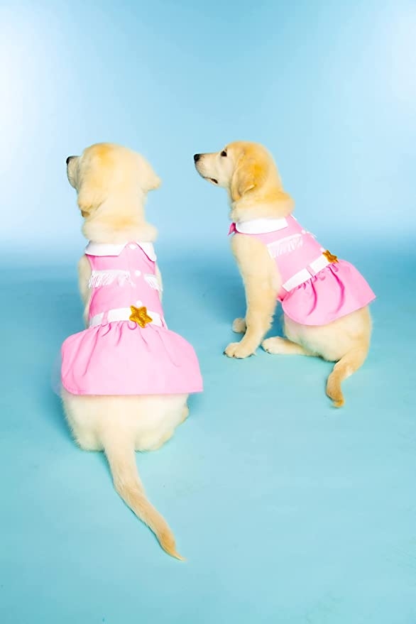 wp-image-1263167594 size-full