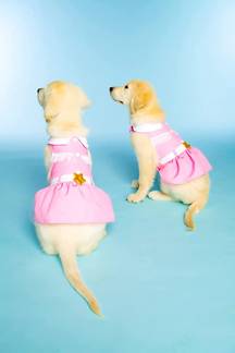 wp-image-1263167594 size-full