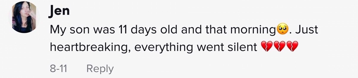 Powerful moment astronaut watches the second tower collapse from space during 9/11 - Article Image 3