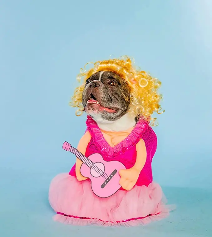 wp-image-1263167593 size-full