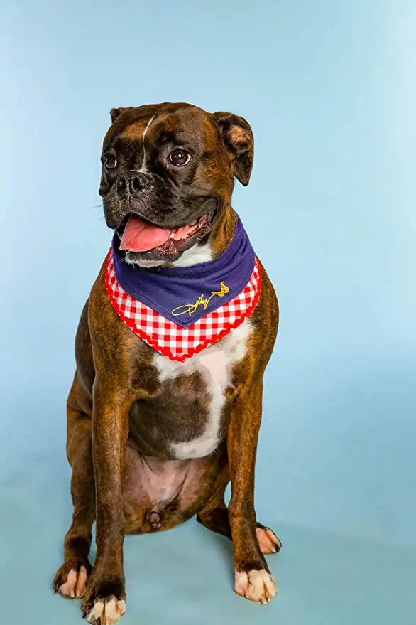 wp-image-1263167595 size-full