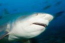 wp-image-1263168478 size-full