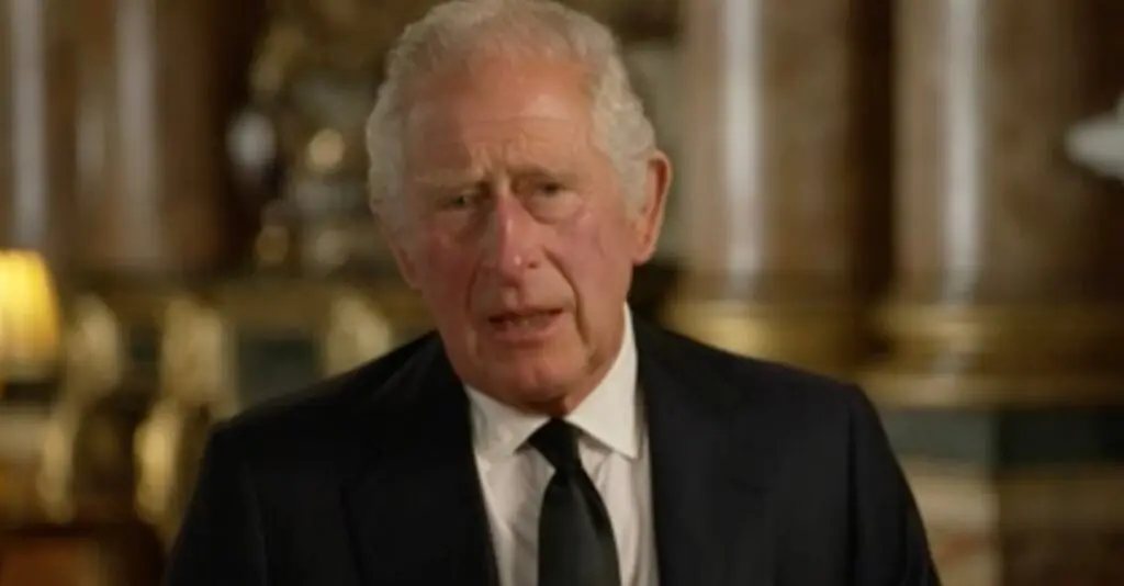 size-large wp-image-1263168649