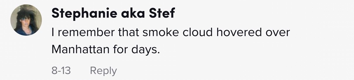 Powerful moment astronaut watches the second tower collapse from space during 9/11 - Article Image 2