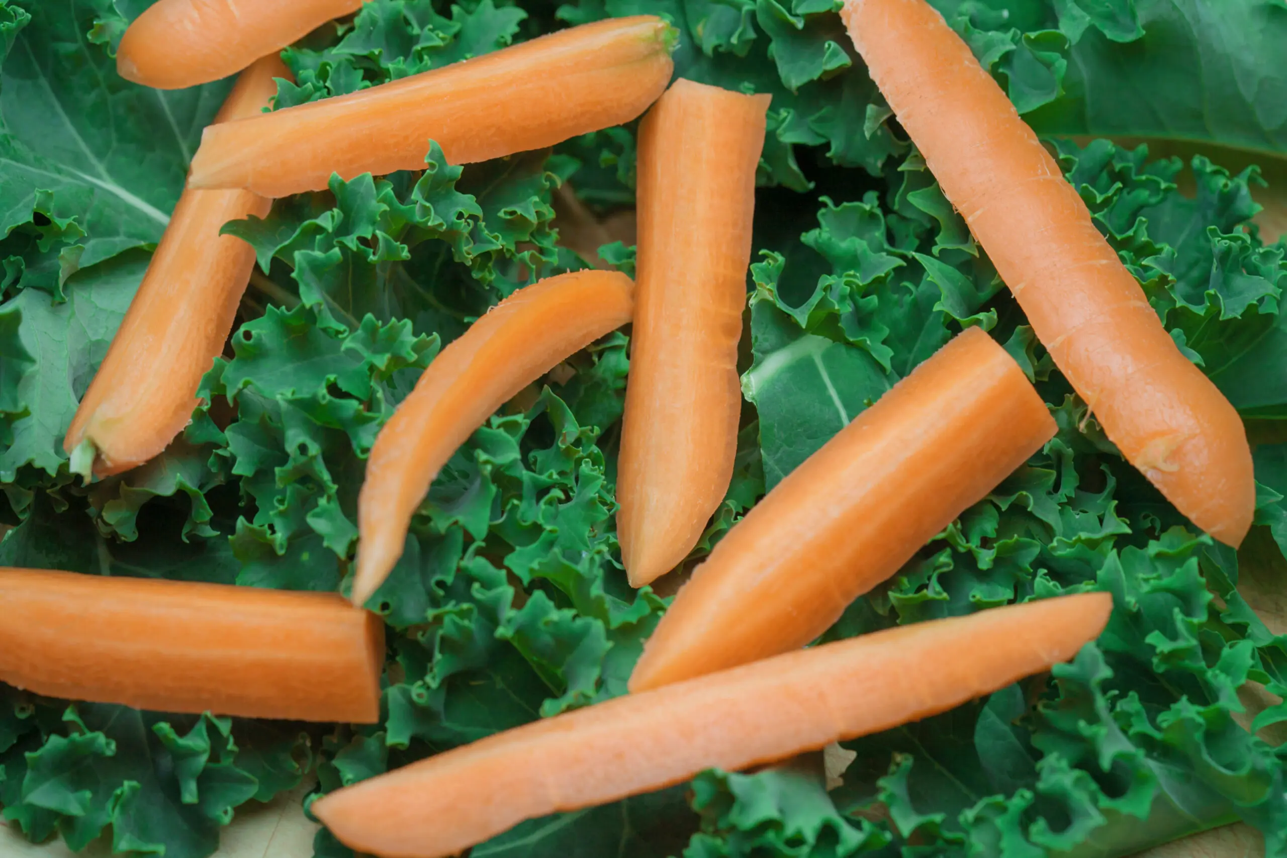 wp-image-1263170448 size-full