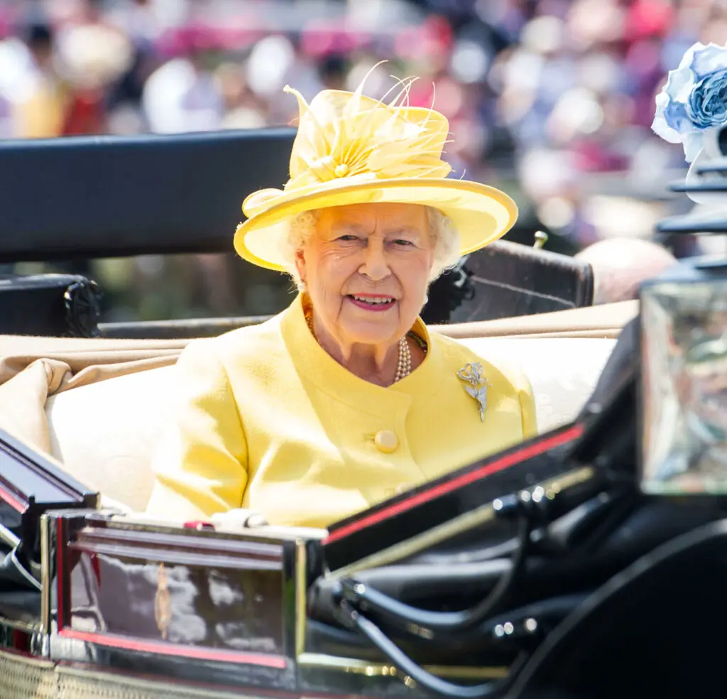 size-large wp-image-1263168764