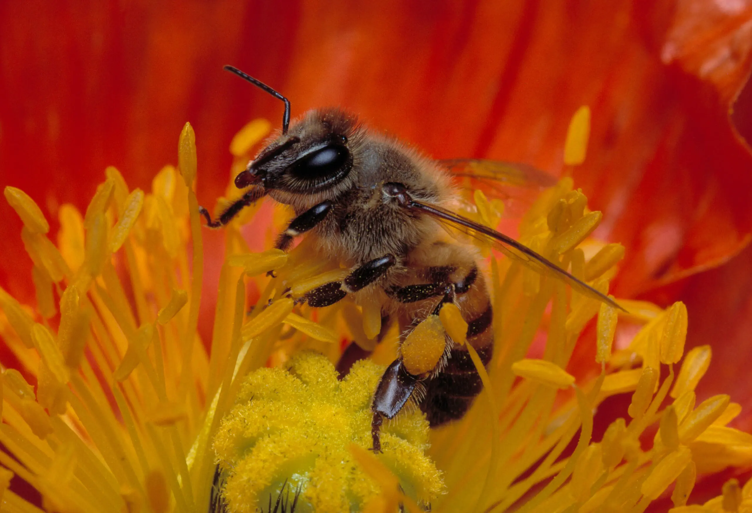 wp-image-1263167359 size-full