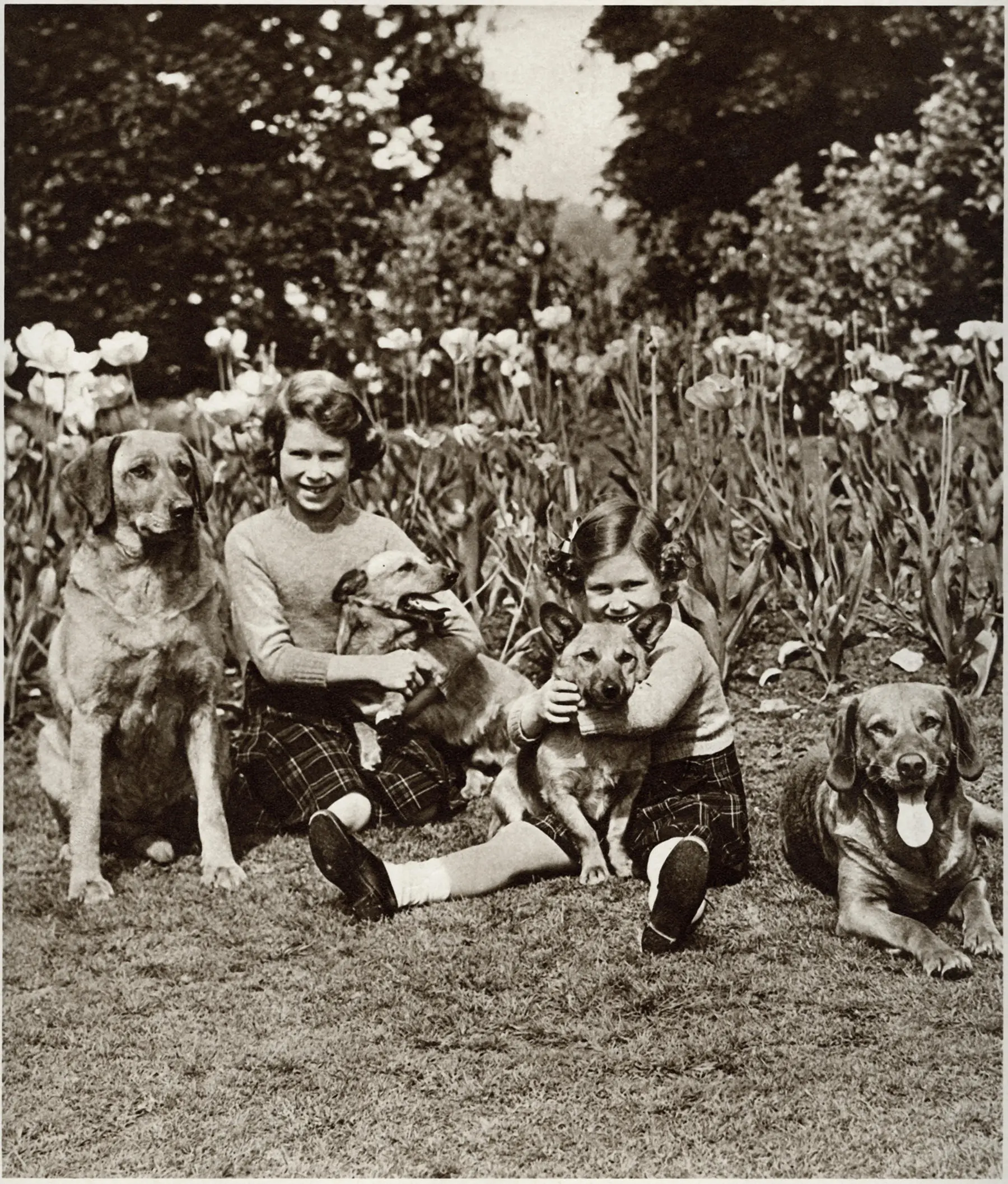 wp-image-1263168561 size-full