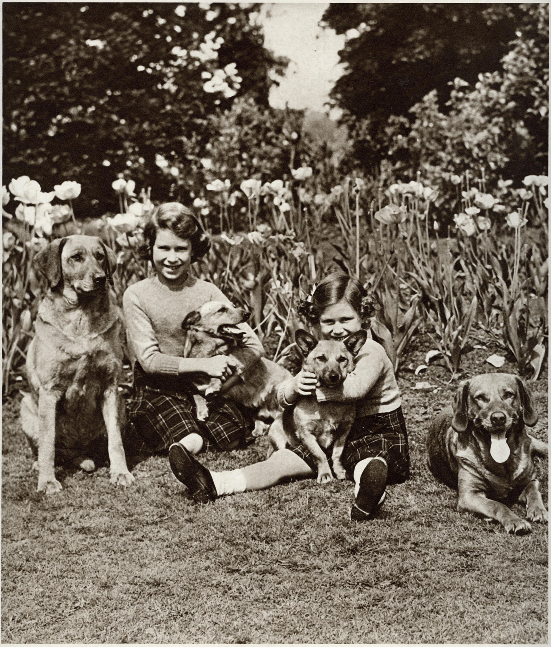 wp-image-1263168561 size-full