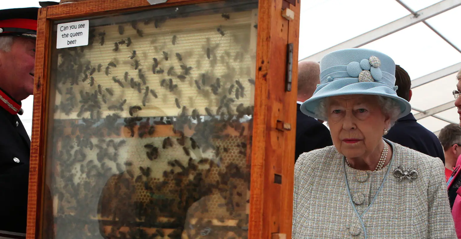 Royal beekeeper has informed the Queen's bees that she has died