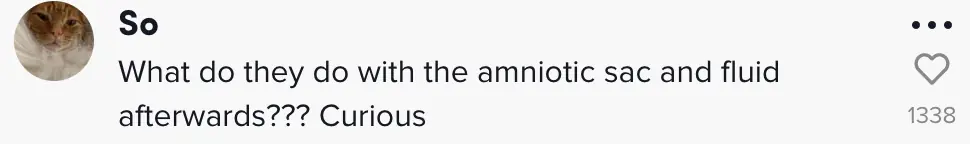 wp-image-1263167350 size-full