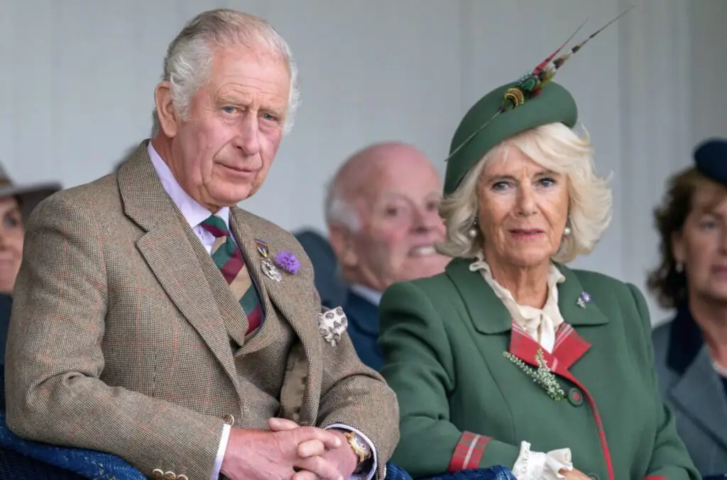 size-large wp-image-1263168541