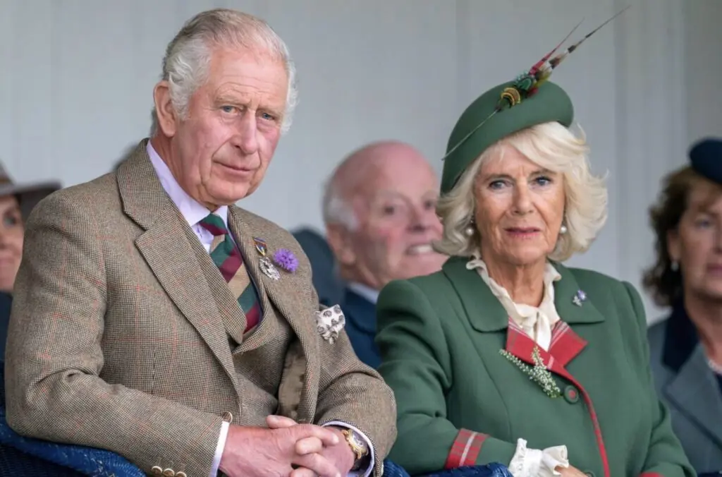 size-large wp-image-1263168541