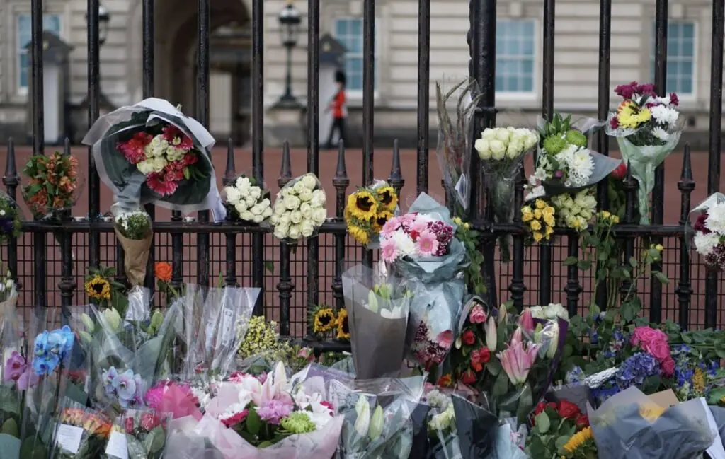 size-large wp-image-1263168632