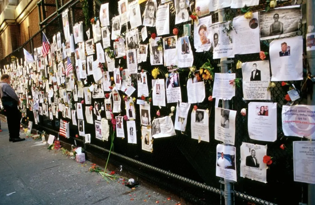 size-large wp-image-1263168794