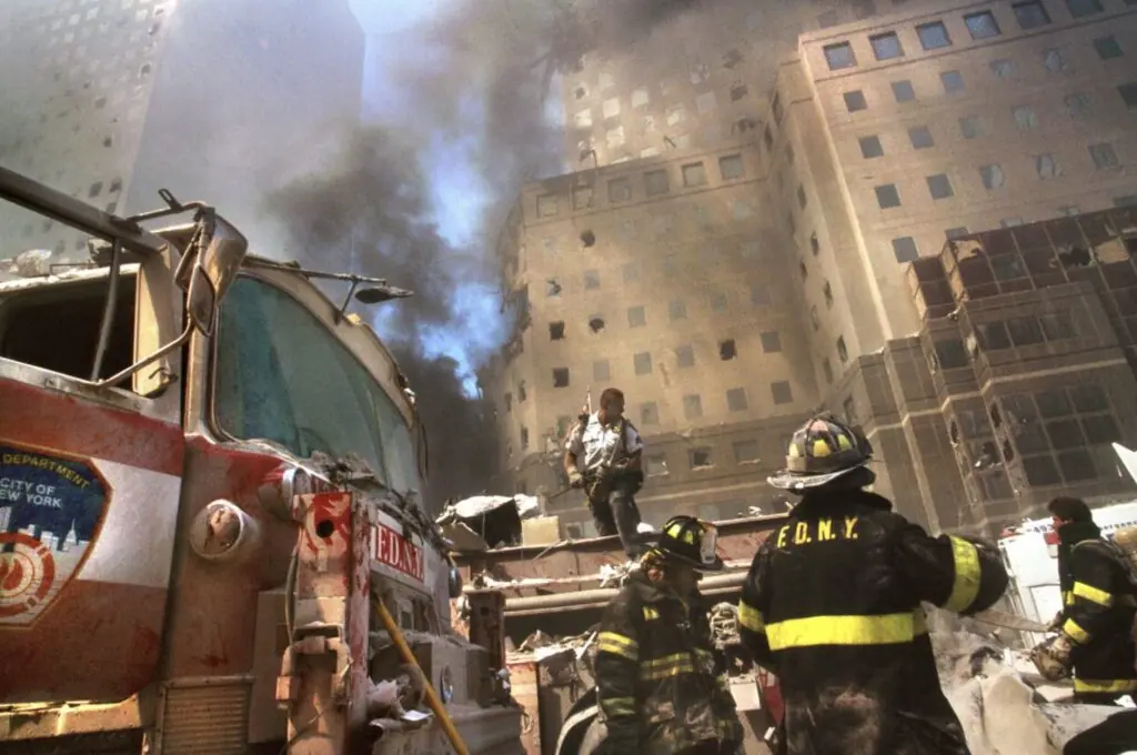 size-large wp-image-1263168846