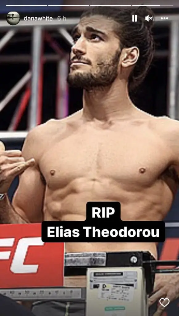 size-large wp-image-1263168885