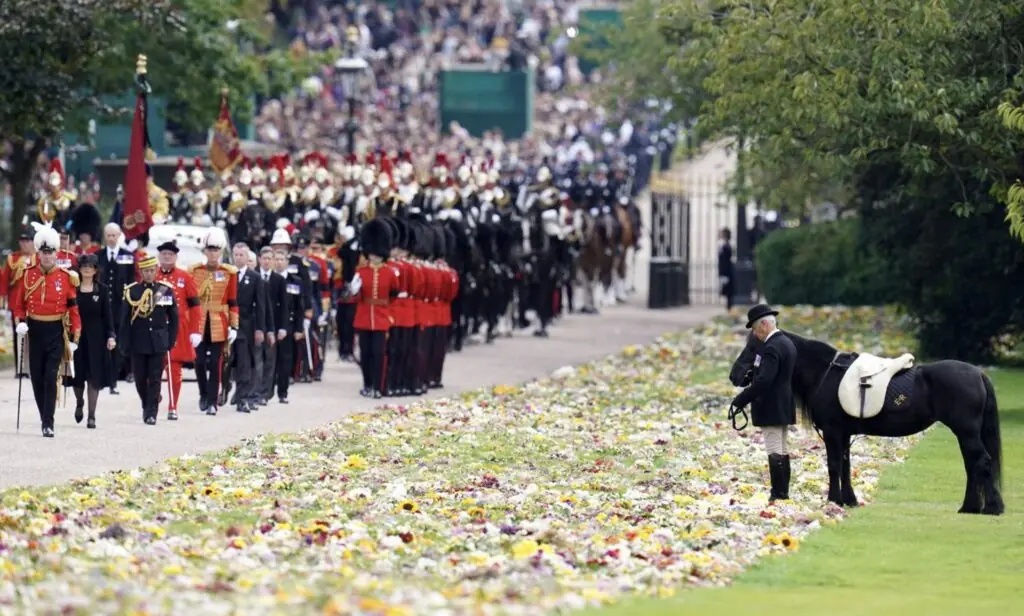 size-large wp-image-1263169801