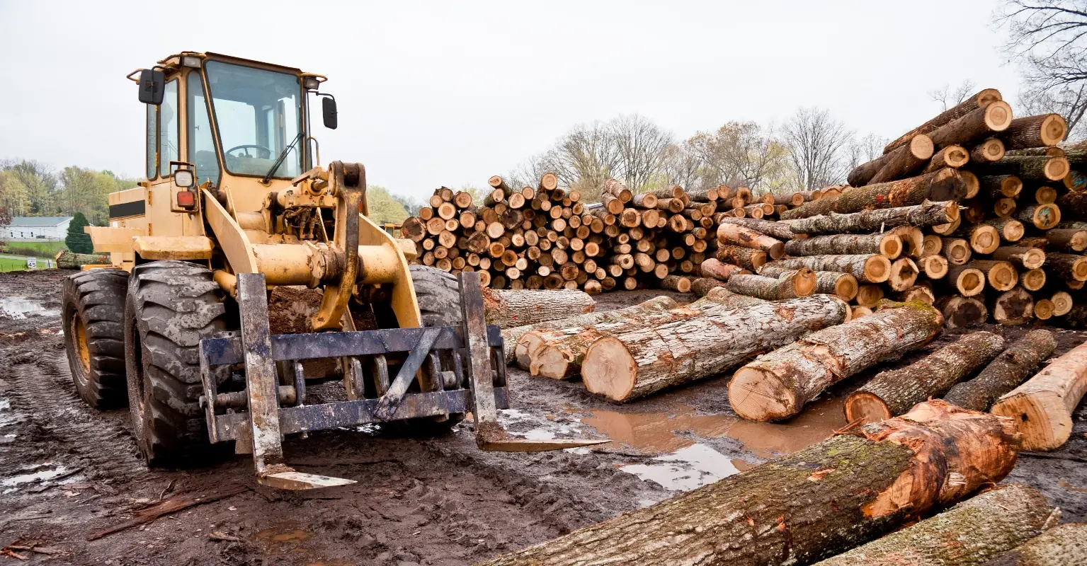 wp-image-1263170969 size-full