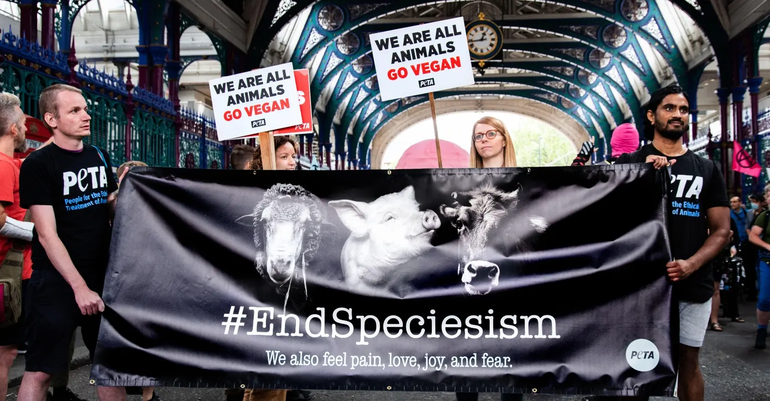 PETA calls for a sex ban against men to help 'save the world'