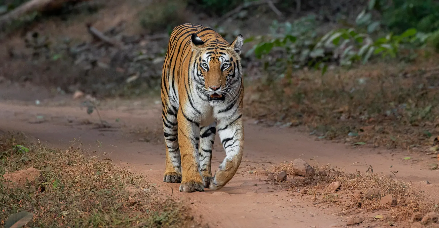 wp-image-1263168314 size-full