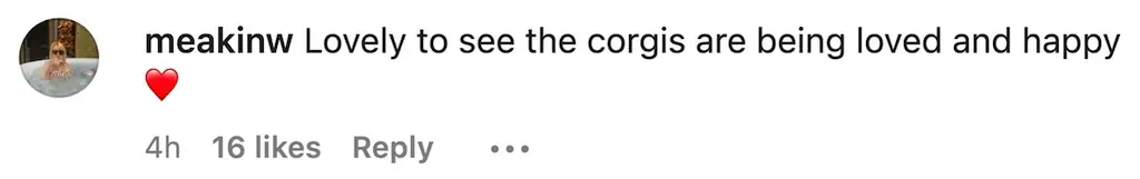 wp-image-1263173522 size-full