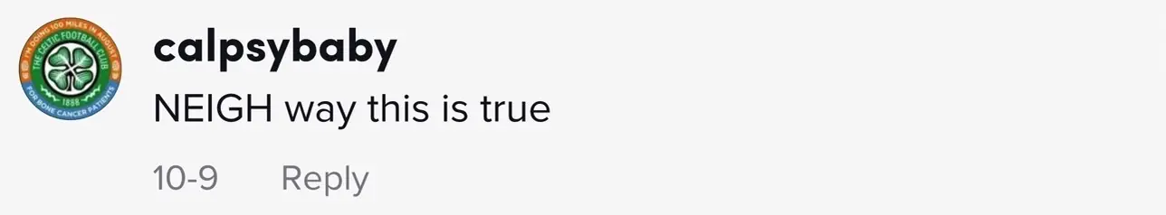 wp-image-1263174003 size-full