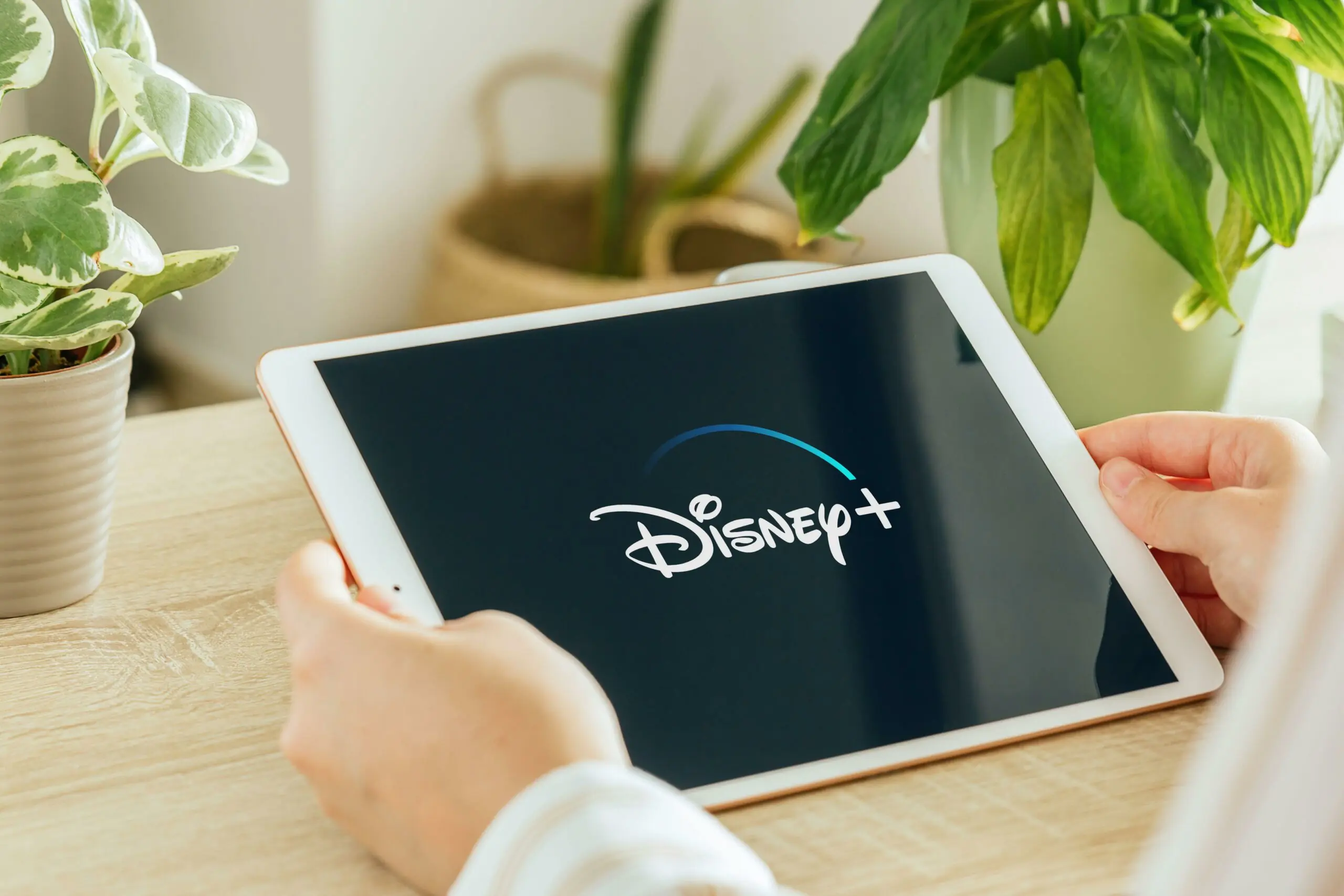 wp-image-1263174801 size-full