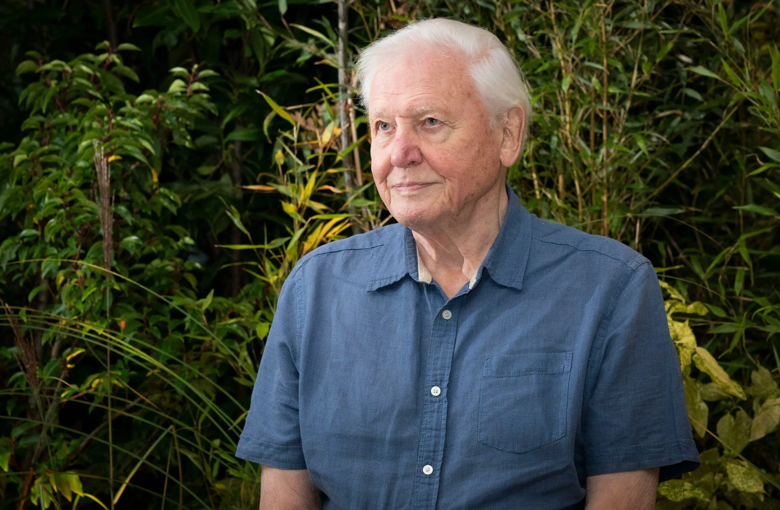 wp-image-1263174058 size-full