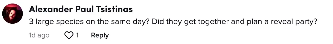 wp-image-1263172657 size-full