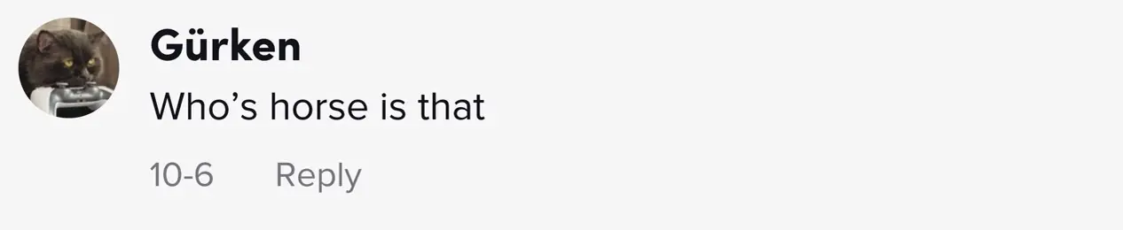 wp-image-1263174002 size-full