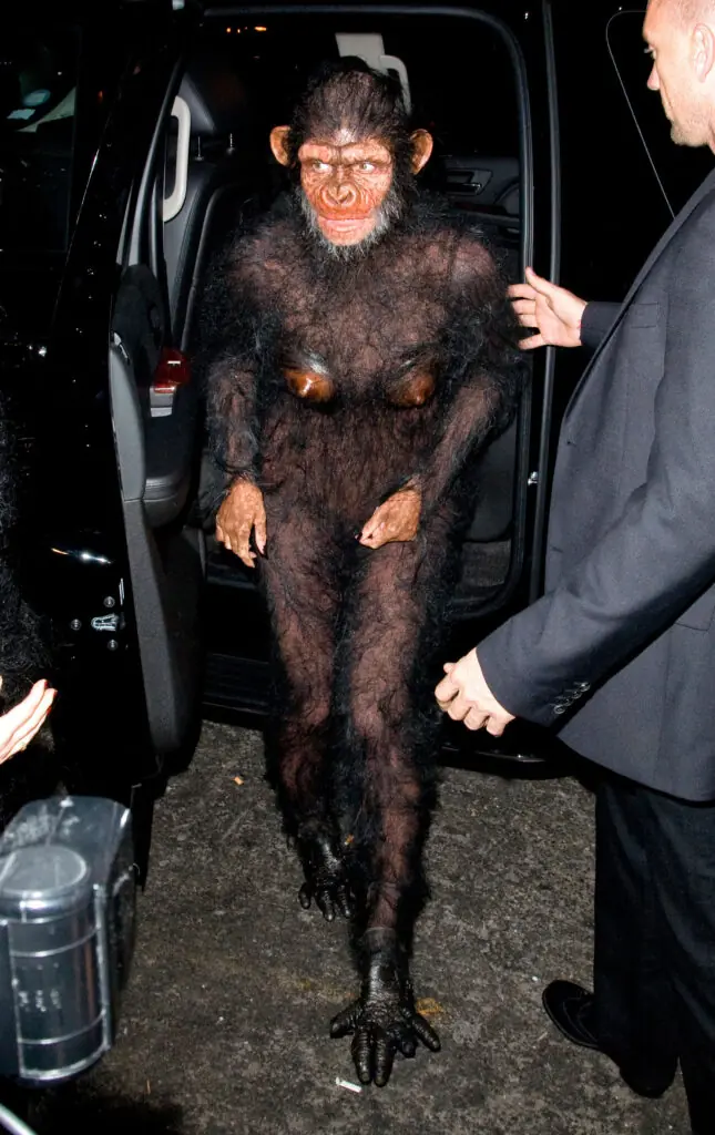 size-large wp-image-1263175291