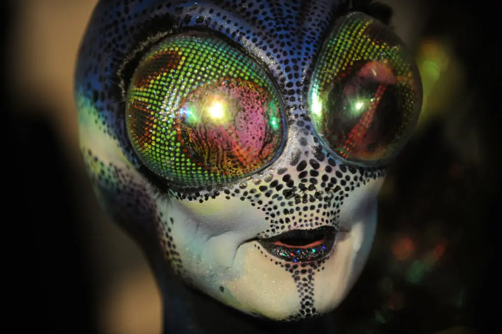 size-large wp-image-1263175281