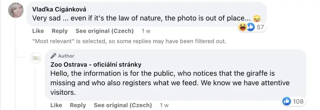 size-large wp-image-1263172313