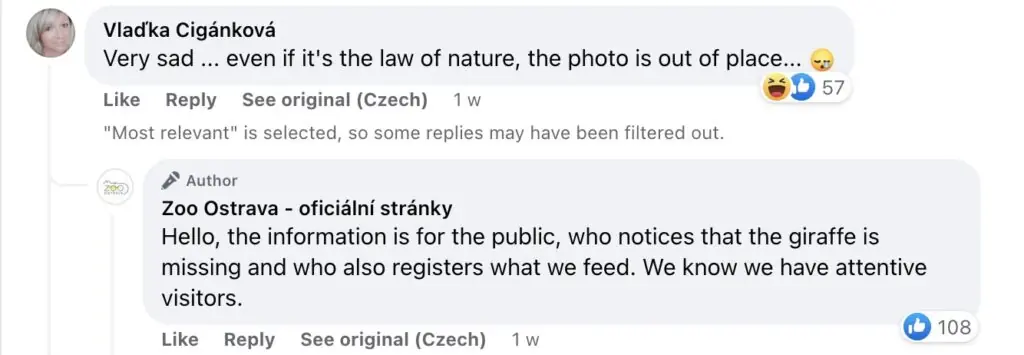 size-large wp-image-1263172313