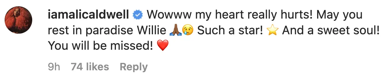 size-full wp-image-1263173049