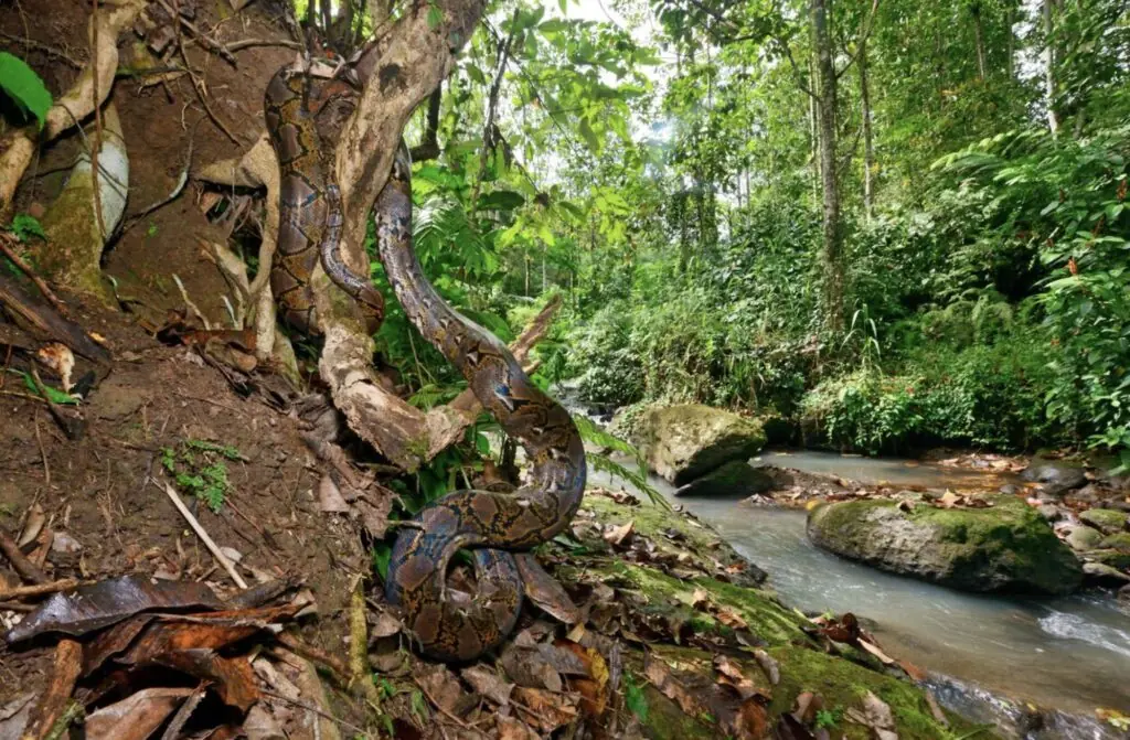 size-large wp-image-1263175056